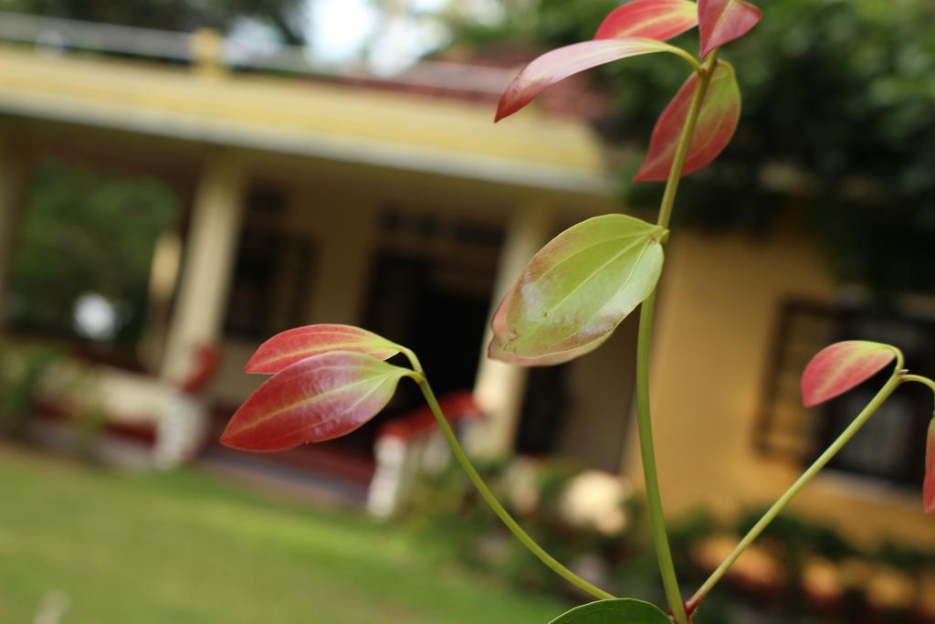 Abberny Villa Midigama Timur Ruang foto