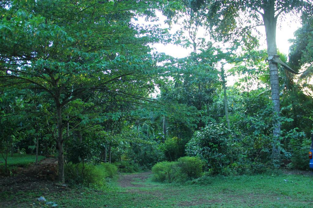 Abberny Villa Midigama Timur Ruang foto
