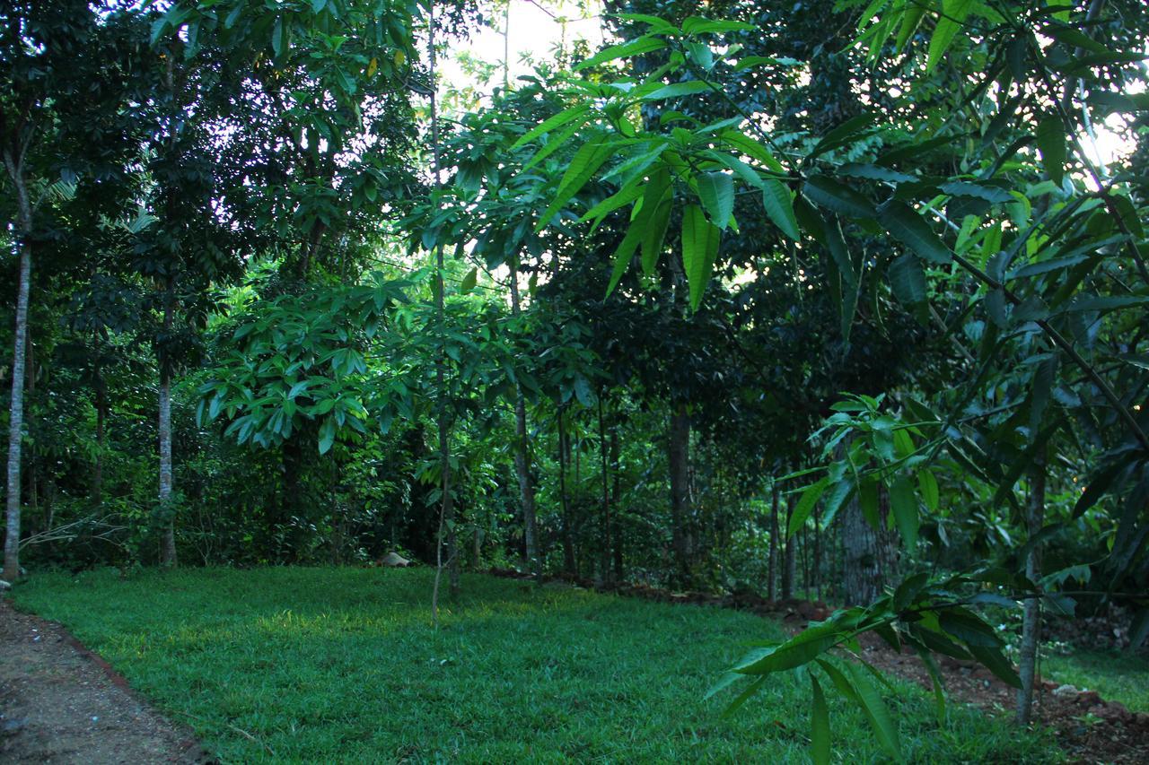 Abberny Villa Midigama Timur Bagian luar foto